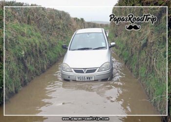 Car Won't Start After Driving Through Water-Fi