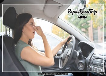 Car Smells Like Burning Rubber When Idling-Fi