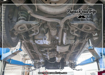 Evaporative Leak Detection-Fi