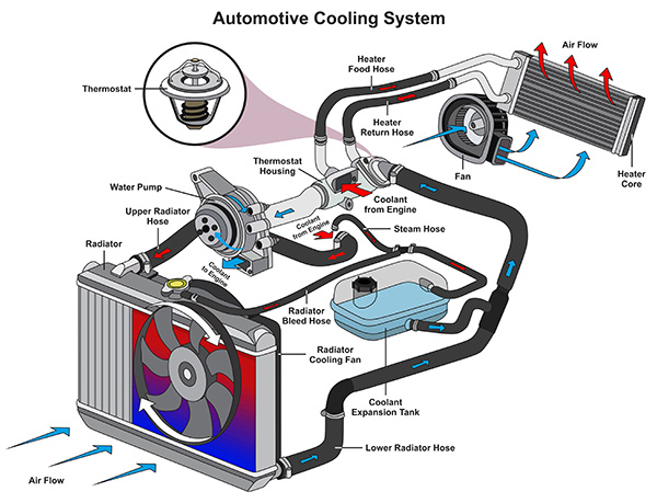 Benefits of a Professional Cooling System Flush for Your Car