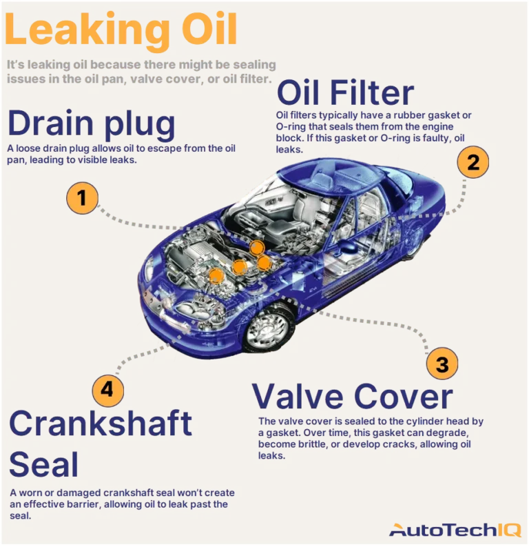 Car Leaking Oil Causes
