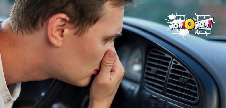 Car Smell Like Fish