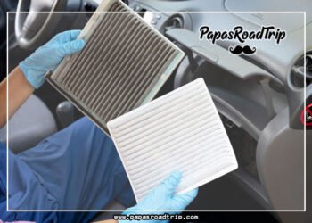 Car AC Smells Like Dead Animal-Fi