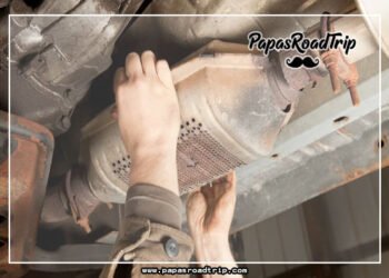 Catalytic Converter Cleaner-Fi