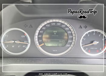 Mileage Not Showing on Dashboard-Fi