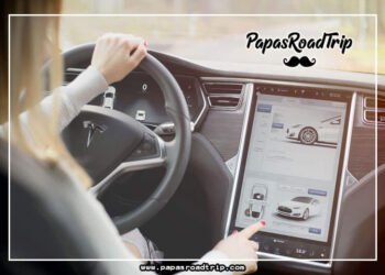 Tesla Autopilot Not Working-Fi