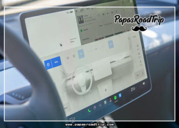 Tesla Cabin Overheat Protection Not Working-Fi