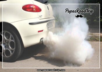 White Smoke from Exhaust Smells Like Gas-Fi