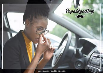 Why Does My Car Smell Like Rotten Eggs-Fi