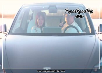 Tesla Microphone Not Working-Fi