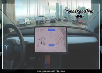 Tesla Safety Score Not Showing-Fi