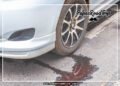 Car Fluid Leaks-Fi