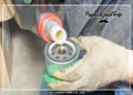 Should You Pre Fill an Oil Filter-Fi