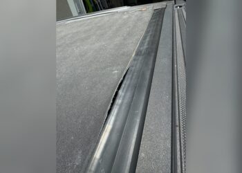 Bak Revolver X4S Problems