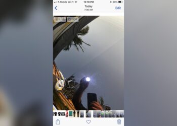 Does Clay Bar Remove Wax