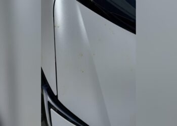 Does Lime Damage Car Paint