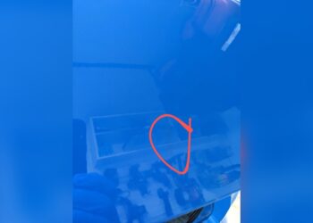 Dr Colorchip Vs Chipex