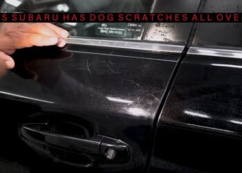 Fix Dog Scratches Car Door