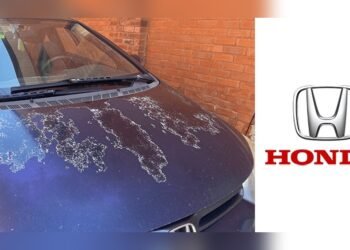 Honda Civic Paint Recall