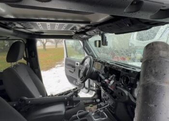 How to Get Mouse Smell Out of Car Vents