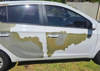 Hyundai White Paint Peeling Issue