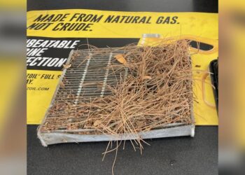 Jiffy Lube Vs Grease Monkey