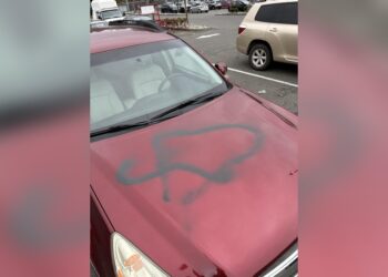 Lacquer Thinner Damage Car Paint