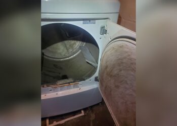 Put Car Mats in Dryer