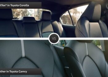 Softex Vs Fabric Seats