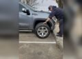 Will Dodge Rims Fit Chevy